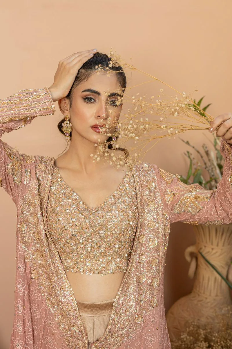 Khayal by Shaista Hasan - Stardust - Chiffon & Silk - 3 Piece