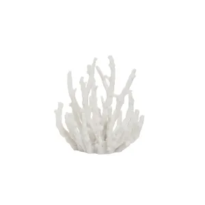 White Coral Decor